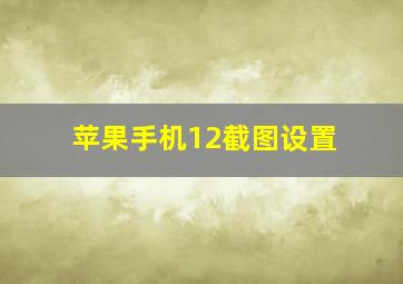 苹果手机12截图设置