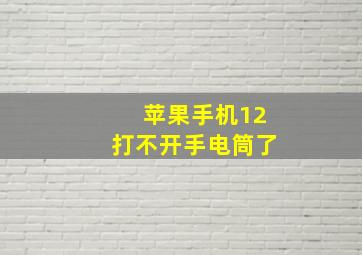 苹果手机12打不开手电筒了