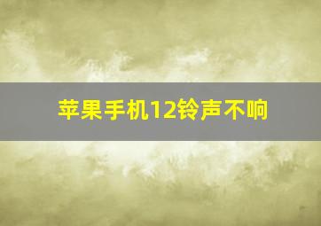 苹果手机12铃声不响