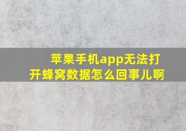 苹果手机app无法打开蜂窝数据怎么回事儿啊