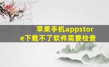 苹果手机appstore下载不了软件需要检查