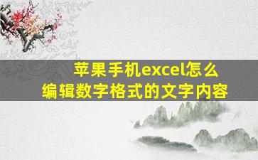 苹果手机excel怎么编辑数字格式的文字内容