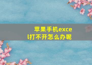 苹果手机excel打不开怎么办呢