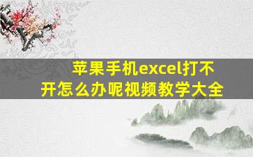 苹果手机excel打不开怎么办呢视频教学大全