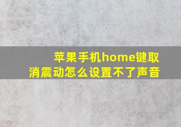 苹果手机home键取消震动怎么设置不了声音