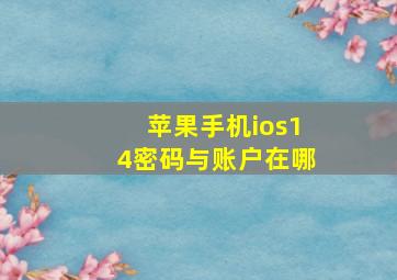 苹果手机ios14密码与账户在哪