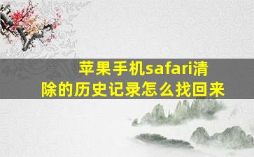 苹果手机safari清除的历史记录怎么找回来