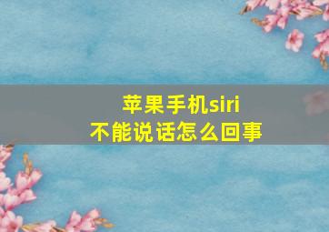 苹果手机siri不能说话怎么回事