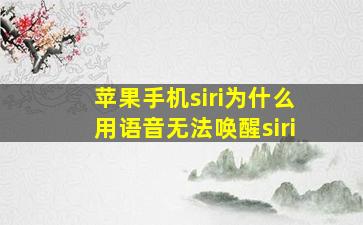 苹果手机siri为什么用语音无法唤醒siri