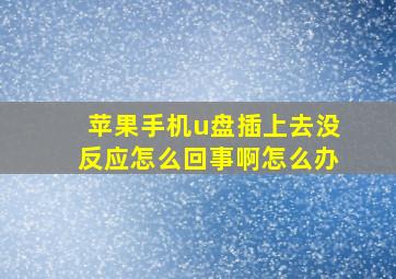 苹果手机u盘插上去没反应怎么回事啊怎么办