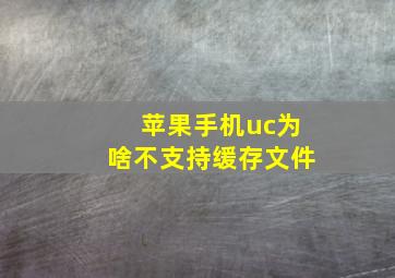 苹果手机uc为啥不支持缓存文件