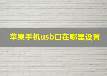 苹果手机usb口在哪里设置