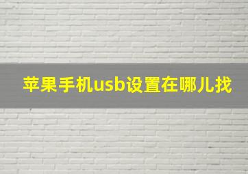 苹果手机usb设置在哪儿找