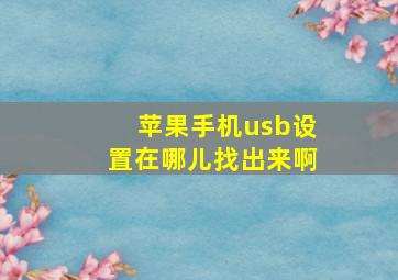 苹果手机usb设置在哪儿找出来啊