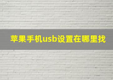 苹果手机usb设置在哪里找