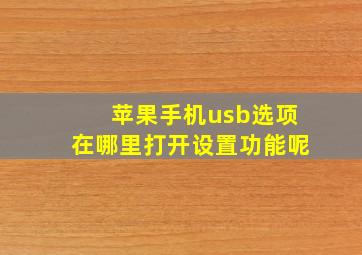 苹果手机usb选项在哪里打开设置功能呢