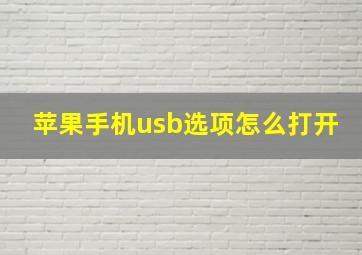 苹果手机usb选项怎么打开