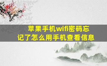 苹果手机wifi密码忘记了怎么用手机查看信息