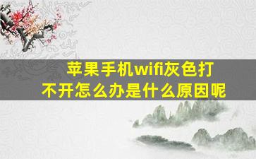 苹果手机wifi灰色打不开怎么办是什么原因呢