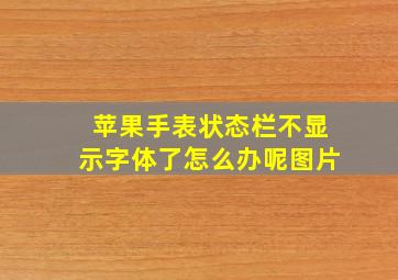 苹果手表状态栏不显示字体了怎么办呢图片