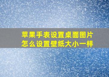 苹果手表设置桌面图片怎么设置壁纸大小一样