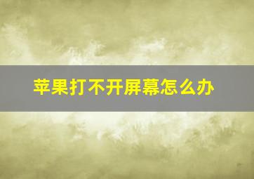 苹果打不开屏幕怎么办