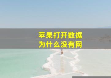 苹果打开数据为什么没有网