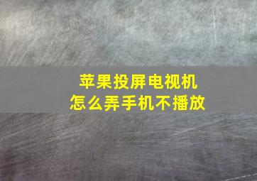 苹果投屏电视机怎么弄手机不播放