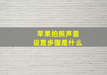 苹果拍照声音设置步骤是什么