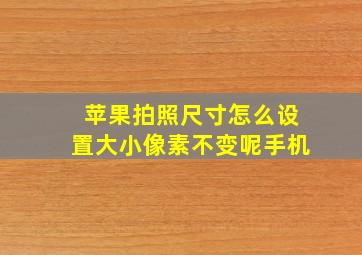 苹果拍照尺寸怎么设置大小像素不变呢手机