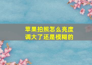 苹果拍照怎么亮度调大了还是模糊的