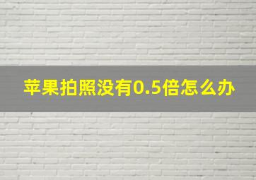 苹果拍照没有0.5倍怎么办