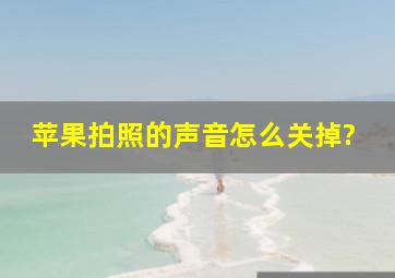 苹果拍照的声音怎么关掉?