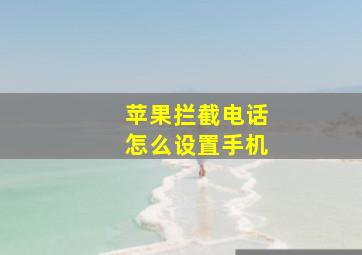 苹果拦截电话怎么设置手机