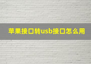 苹果接口转usb接口怎么用