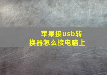 苹果接usb转换器怎么接电脑上