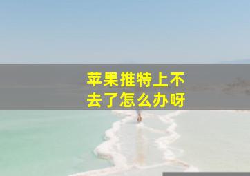 苹果推特上不去了怎么办呀