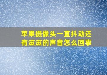 苹果摄像头一直抖动还有滋滋的声音怎么回事