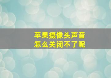 苹果摄像头声音怎么关闭不了呢