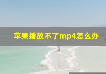 苹果播放不了mp4怎么办