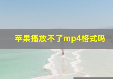 苹果播放不了mp4格式吗