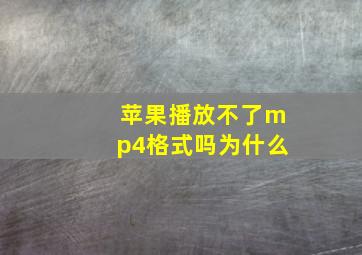 苹果播放不了mp4格式吗为什么