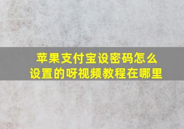 苹果支付宝设密码怎么设置的呀视频教程在哪里