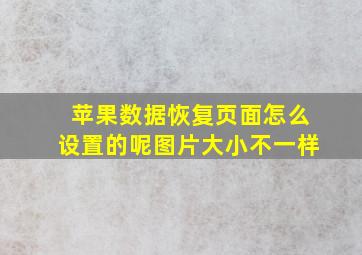 苹果数据恢复页面怎么设置的呢图片大小不一样