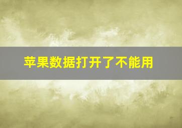 苹果数据打开了不能用