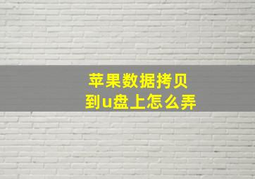 苹果数据拷贝到u盘上怎么弄