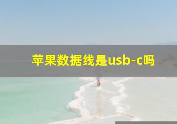 苹果数据线是usb-c吗