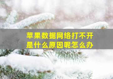 苹果数据网络打不开是什么原因呢怎么办