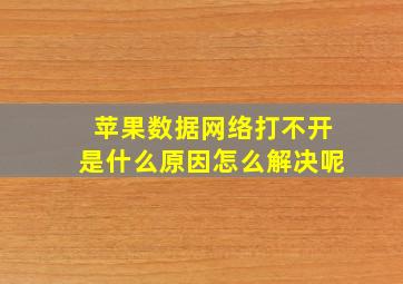 苹果数据网络打不开是什么原因怎么解决呢