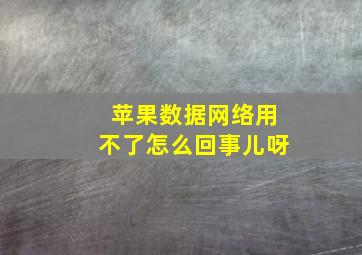 苹果数据网络用不了怎么回事儿呀